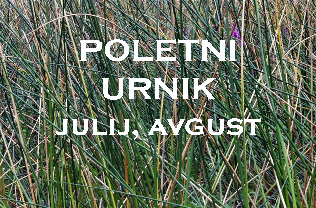 POLETNI URNIK – julij, avgust 2020