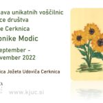 Veronika Modic - razstava unikatnih voščilnic članice društva Klasje Cerknica
