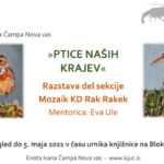 Ptice naših krajev - razstava del Sekcije Mozaiki KD Rak Rakek