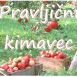 Pravljični kimavec - pravljična urica z ustvarjalno delavnico za otroke od 4. leta dalje