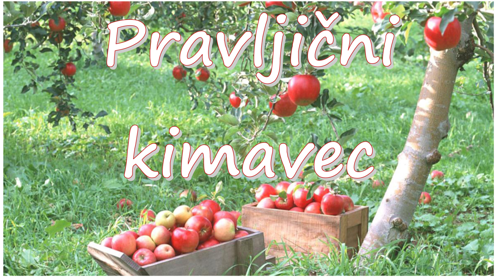 Pravljični kimavec - pravljična urica z ustvarjalno delavnico za otroke od 4. leta dalje
