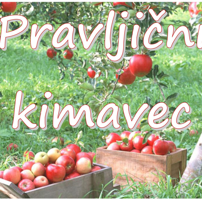 Pravljični kimavec - pravljična urica z ustvarjalno delavnico za otroke od 4. leta dalje