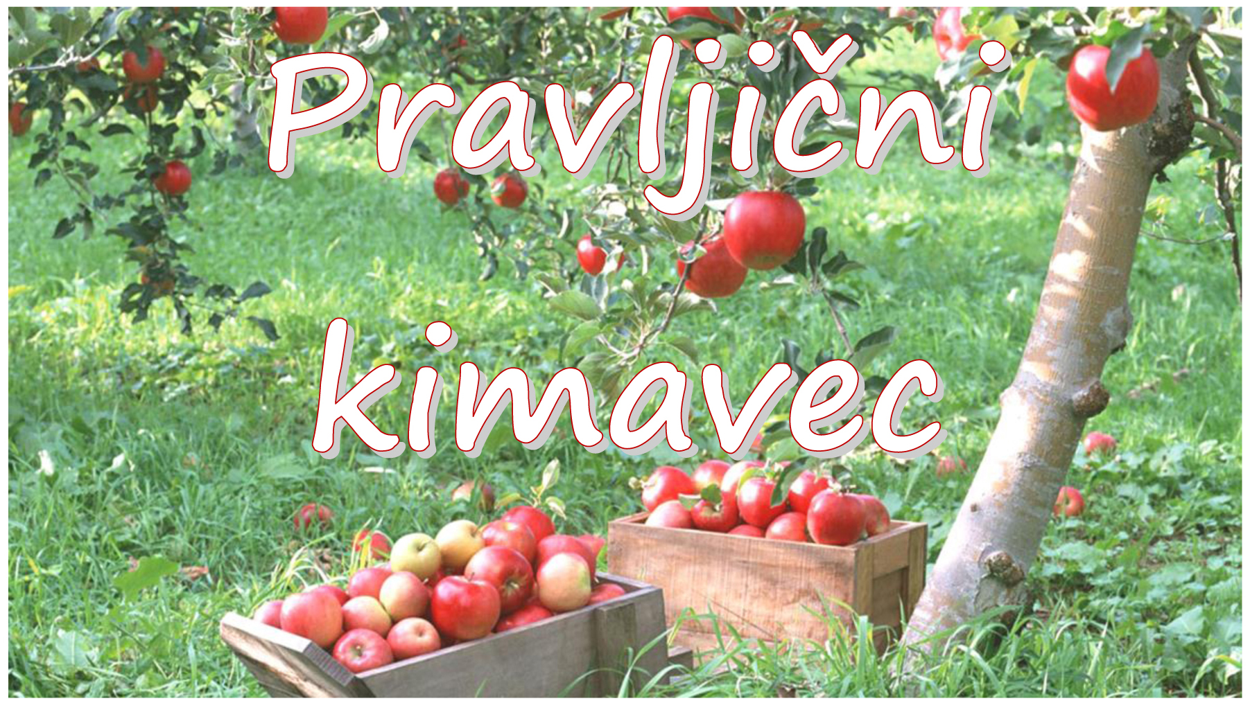Pravljični kimavec - pravljična urica z ustvarjalno delavnico za otroke od 4. leta dalje