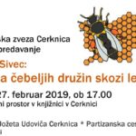 Marija Sivec: Oskrba čebeljih družin skozi leto