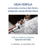 Vida Ferfila - samostojna razstava čipk članice klekljarske sekcije KD Rak Rakek