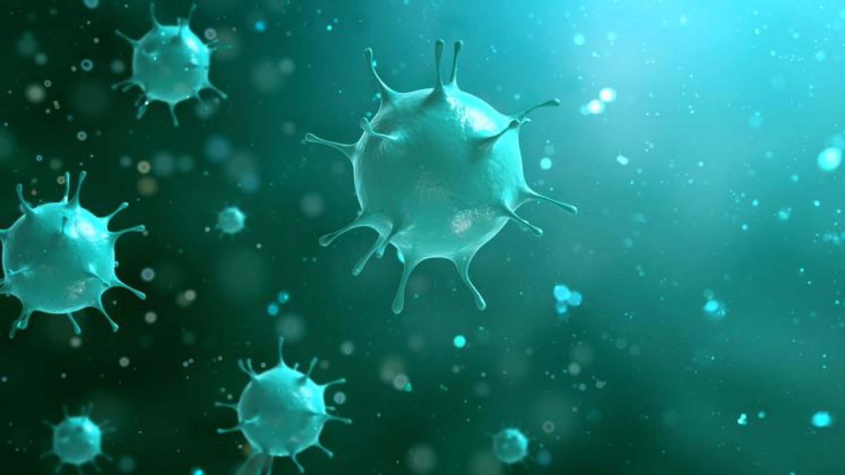 virus