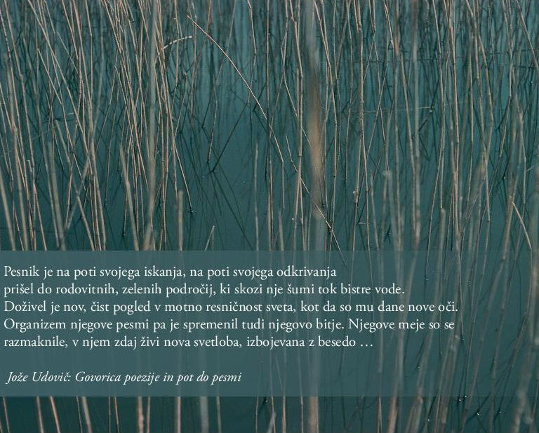 SREČNO 2017