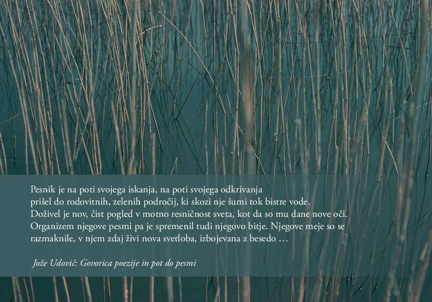 SREČNO 2017