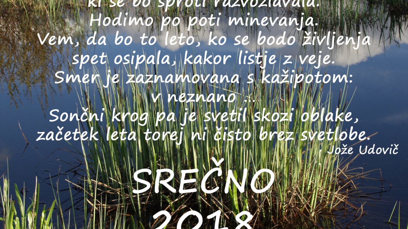 voscilo-2018