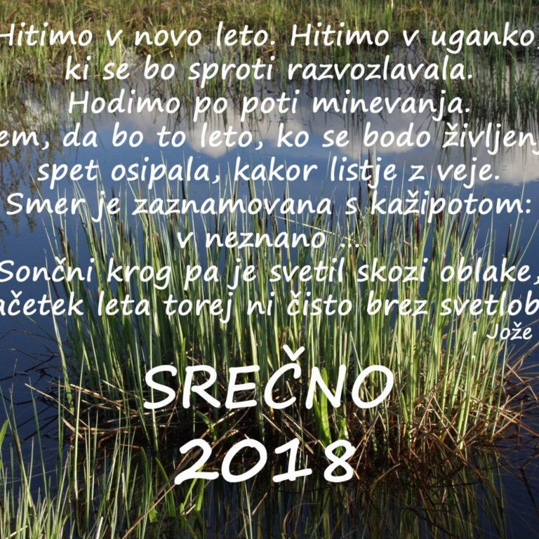 Srečno 2018