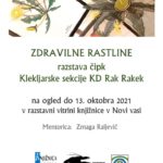 Zdravilne rastline - razstava čipk Klekljarske sekcije KD Rak Rakek