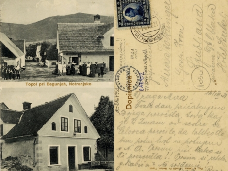 Topol pri Begunjah [1921]