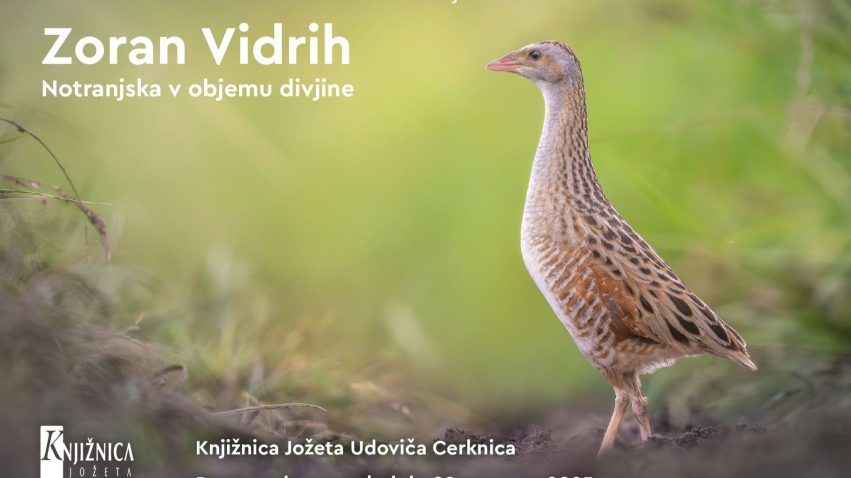 zoran-vabilo-maj-avgust