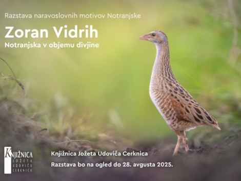 zoran-vabilo-maj-avgust