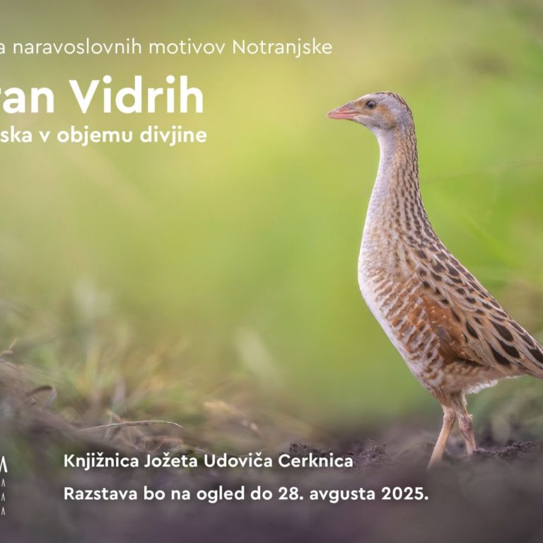 Maj 2025 – zbirnik dogodkov
