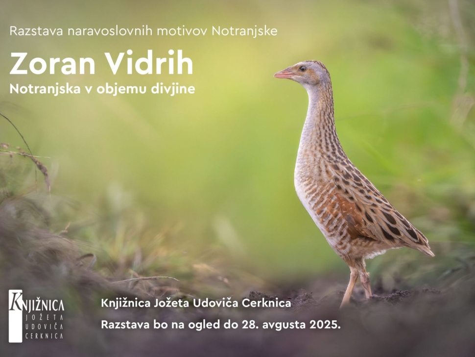 zoran-vabilo-maj-avgust