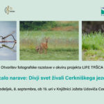 Zrcalo narave: Divji svet živali Cerkniškega jezera - odprtje razstave fotografij lokalnih fotografov