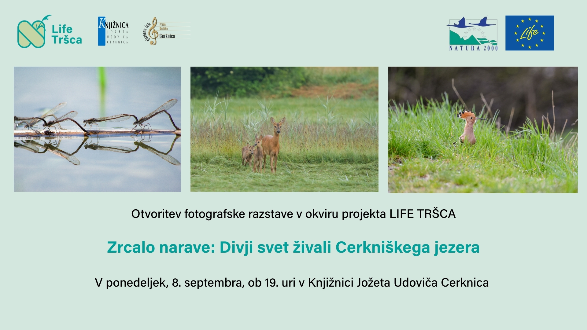 Zrcalo narave: Divji svet živali Cerkniškega jezera - razstava fotografij lokalnih fotografov