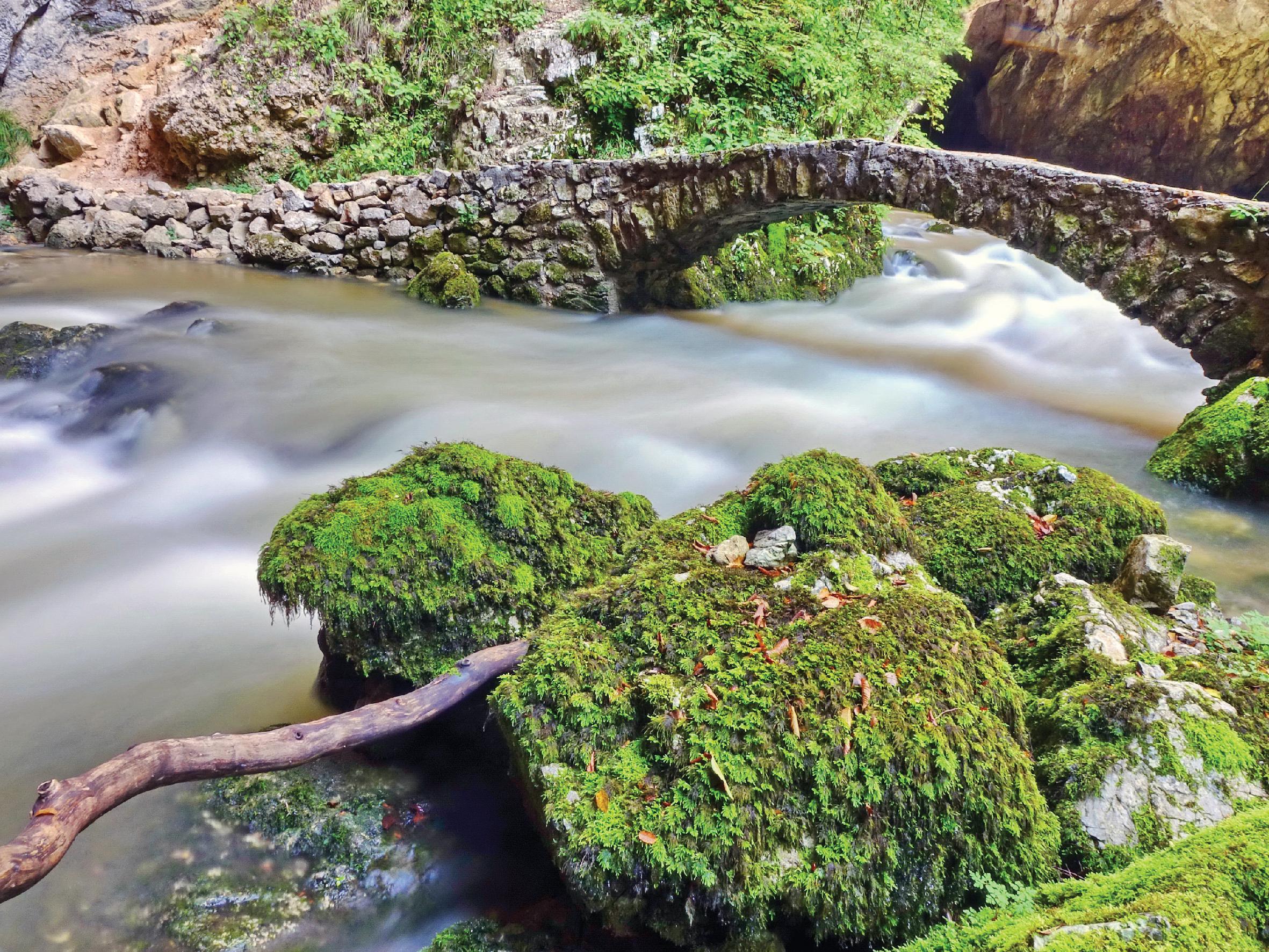 Tine Šubic: Naravne lepote Notranjske - odprtje pete avtorske razstave fotografij