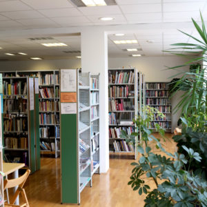 Enota Maričke Žnidaršič Stari trg pri Ložu, foto Ljubo Vukelič