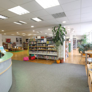 Enota Maričke Žnidaršič Stari trg pri Ložu, foto Ljubo Vukelič