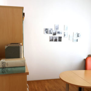 Enota Maričke Žnidaršič Stari trg pri Ložu, foto Ljubo Vukelič