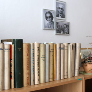 Enota Maričke Žnidaršič Stari trg pri Ložu, foto Ljubo Vukelič