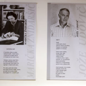 Enota Maričke Žnidaršič Stari trg pri Ložu, foto Ljubo Vukelič