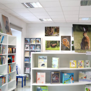 Knjižnica Jožeta Udoviča Cerknica, foto Ljubo Vukelič