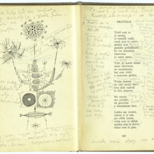 Udovičeve opombe k lastni pesmi