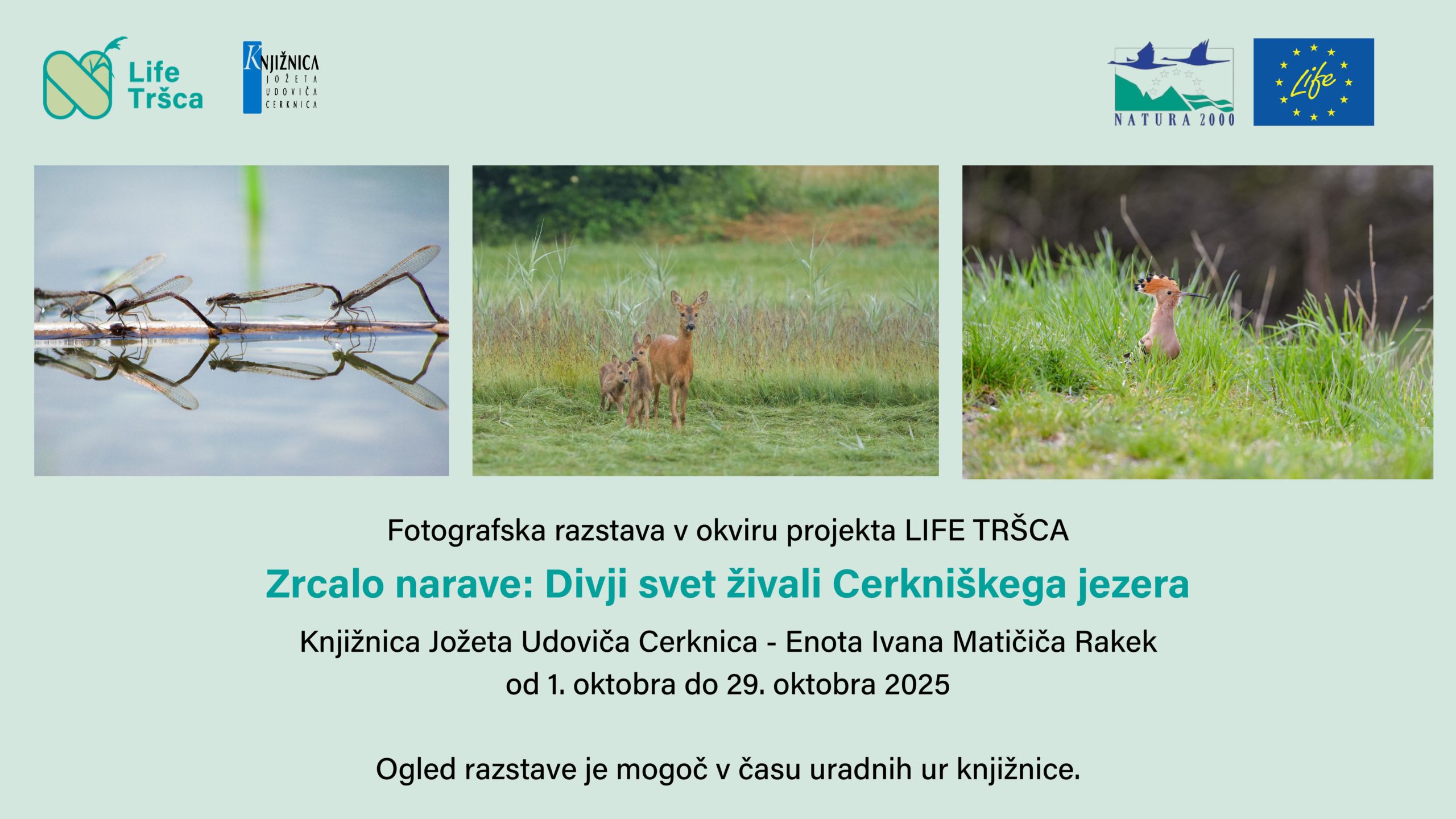 Zrcalo narave: Divji svet živali Cerkniškega jezera - razstava fotografij lokalnih fotografov