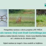 Zrcalo narave: Divji svet živali Cerkniškega jezera - razstava fotografij lokalnih fotografov