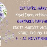 Bernarda Kandare: Odtenki barv - razstava voščilnic