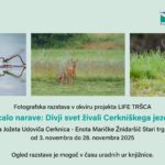 Zrcalo narave: Divji svet živali Cerkniškega jezera - razstava fotografij lokalnih fotografov