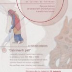 Katja Vrenkova - Ilustracije od Calvina do Vrenkove