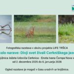 Zrcalo narave: Divji svet živali Cerkniškega jezera - razstava fotografij lokalnih fotografov