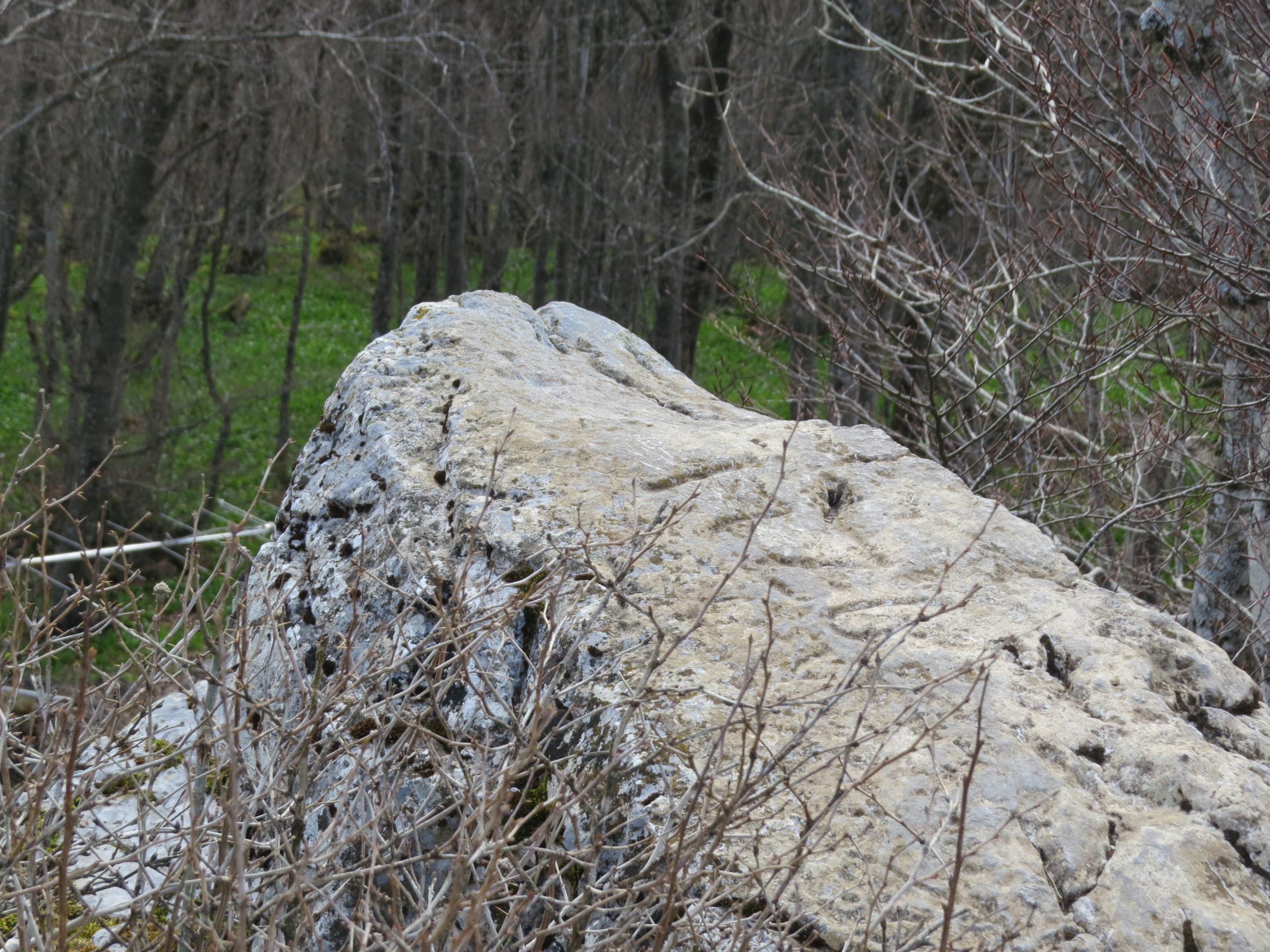 Stari mejni kamni okoli Cerknice - predavanje doc. dr. Mihaele Triglav Čekada