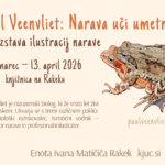 Paul Veenvliet - Narava uči umetnost