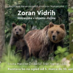 Zoran Vidrih: Notranjska v objemu divjine