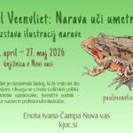 Paul Veenvliet: Narava uči umetnost - razstava ilustracij narave