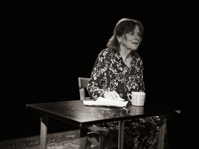 Christopher Hampton: Nemško življenje, igra Marijana Brecelj - monodrama