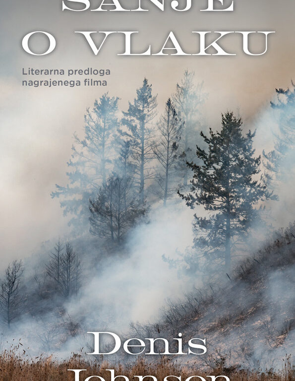 Prispevek na Radiu 94: Poletno branje – Sanje o vlaku