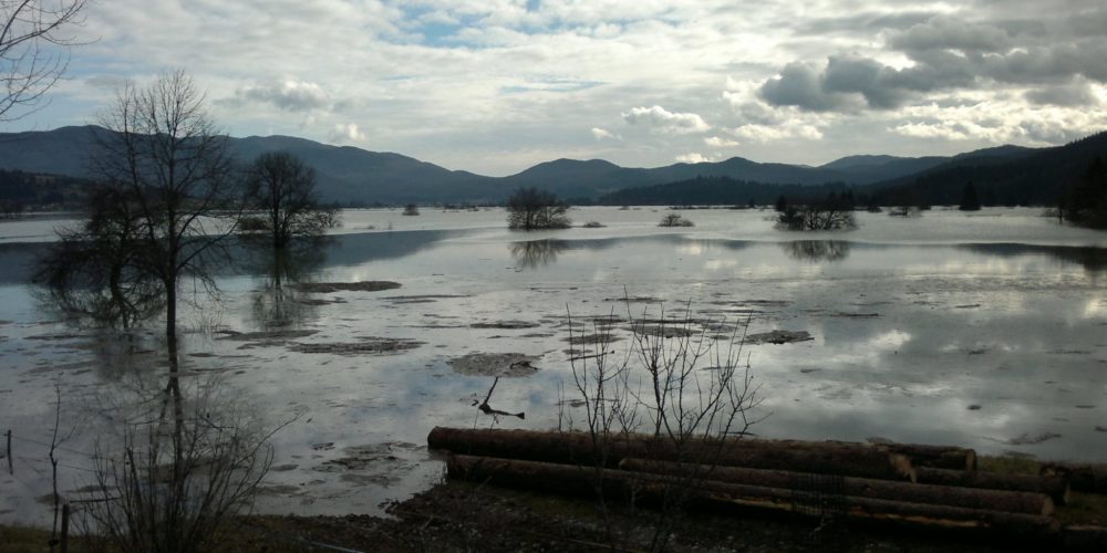 Matej Kržič: Vzroki in posledice poplav in suš za Loško dolino