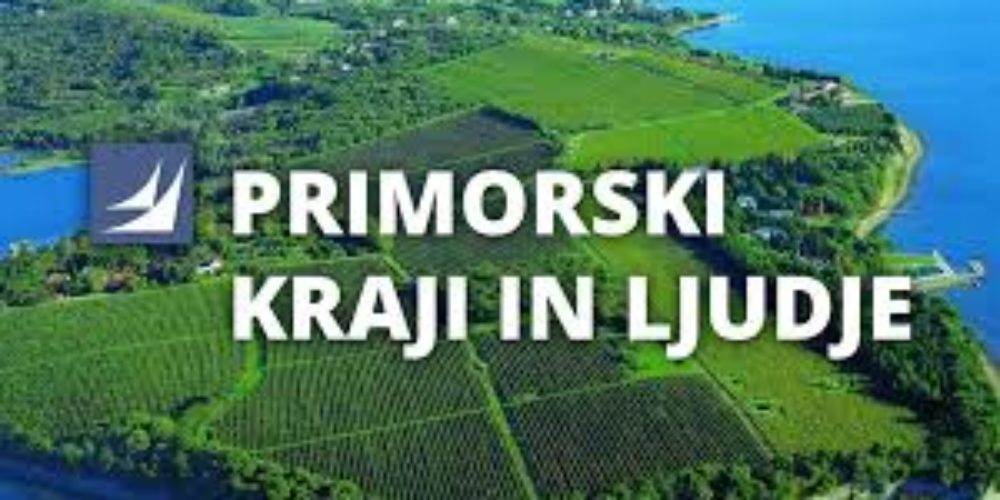 Predstavitev cerkniške knjižnice na Radiu Koper
