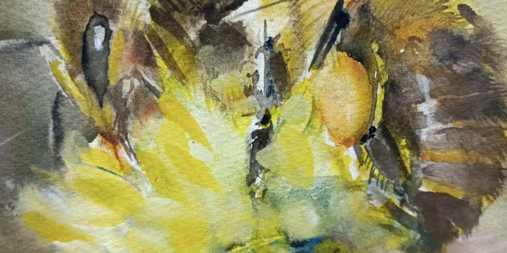 Janez Dragolič: Cerknica v akvarelu – slikarska razstava
