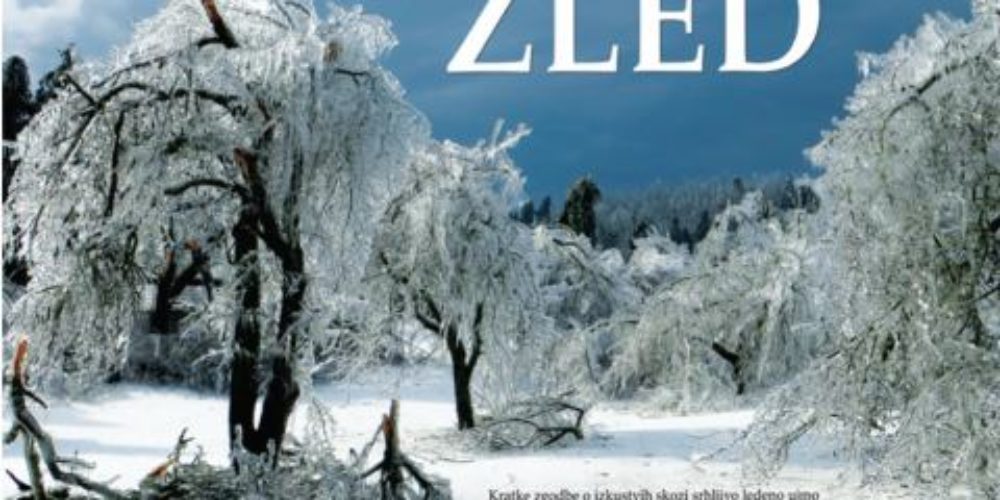Žled – Kratke zgodbe o izkustvih skozi srhljivo ledeno ujmo in čarobnost žleda v Sloveniji 2014