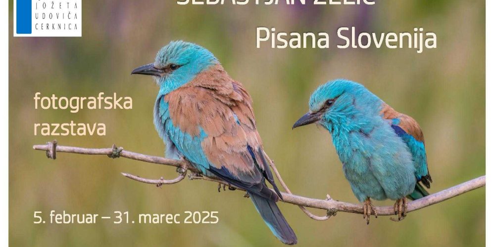 Sebastjan Zelič – Pisana Slovenija