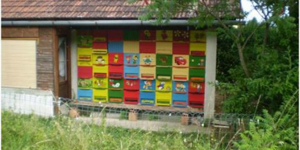 Čebelarstvo na Rakeku