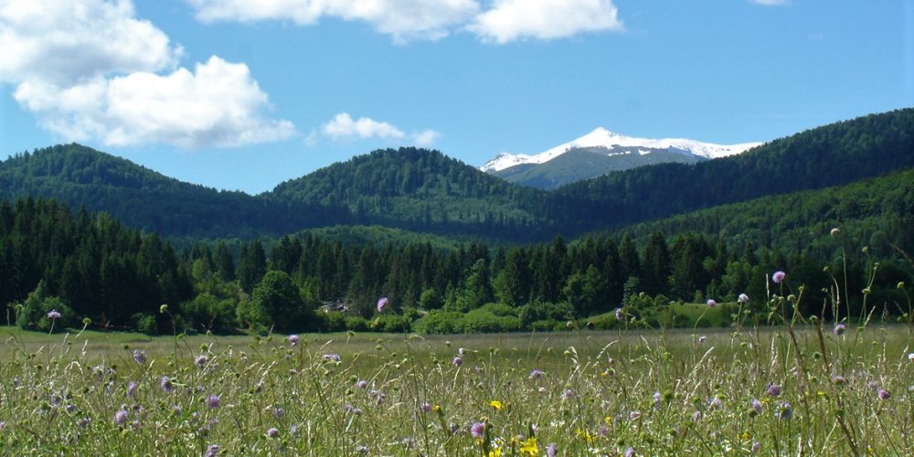 Borut Kraševec: Moja dolina – odprtje razstave fotografij