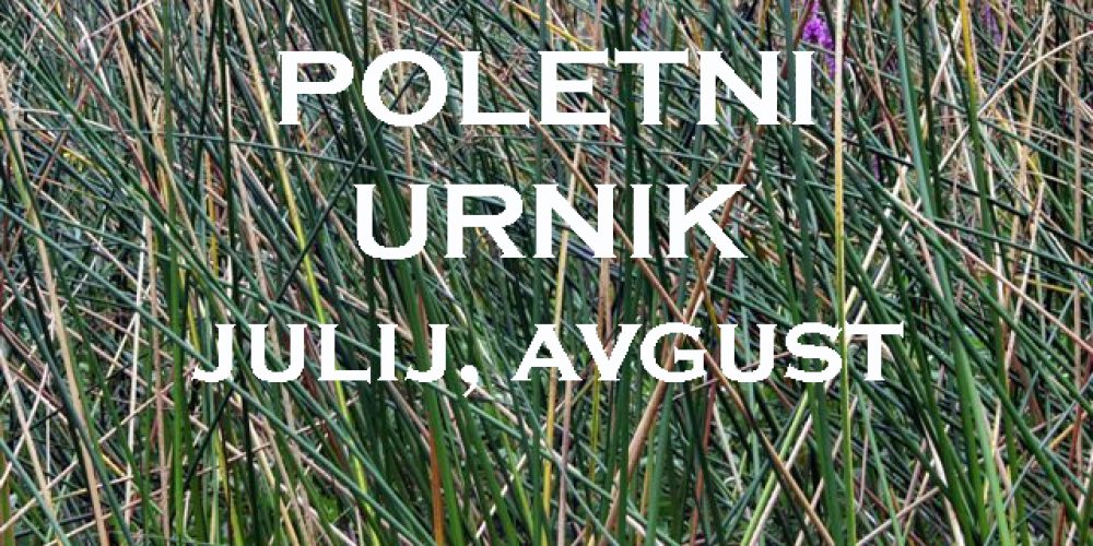 POLETNI URNIK – julij, avgust 2020